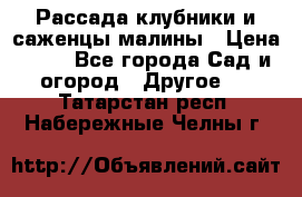 Рассада клубники и саженцы малины › Цена ­ 10 - Все города Сад и огород » Другое   . Татарстан респ.,Набережные Челны г.